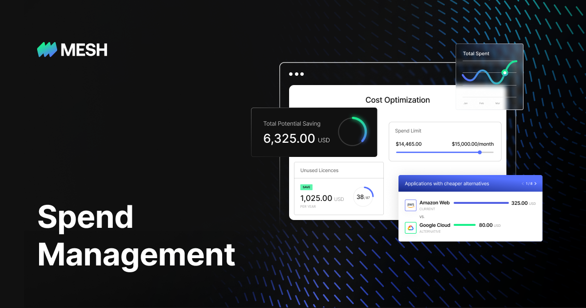 Spend Management Software Solution | Mesh Payments