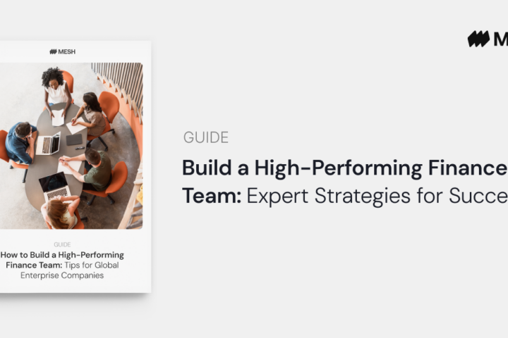 Guide: Build a High-Performing Finance Team: Expert Strategies for Success