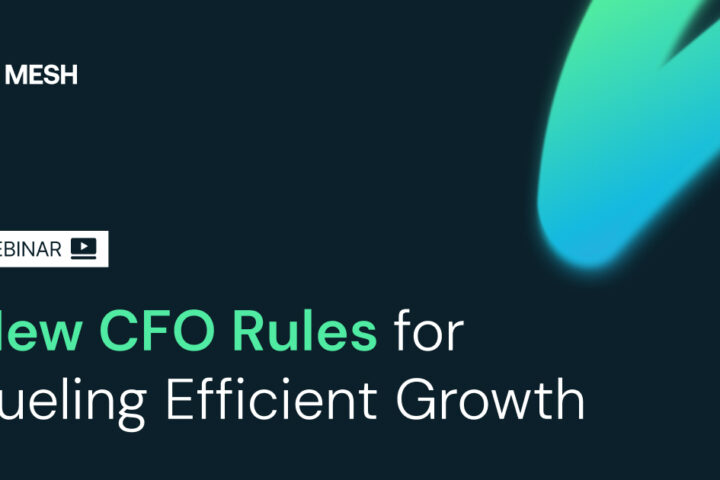 New CFO Rules for Fueling Efficient Growth